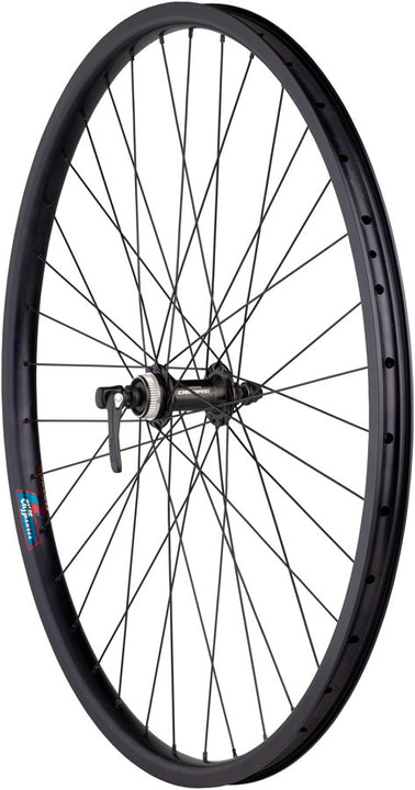 Rueda delantera de disco Quality Wheels Value HD Series - 700 QR x 100 mm Center-Lock BLK