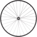 Rueda delantera de disco de doble pared Quality Wheels Value - 700 12 x 100 mm Center-Lock BLK