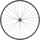 Quality Wheels Value Double Wall Series Disc Rear Wheel - 700 12 x 142mm Center-Lock HG 11 MTN BLK