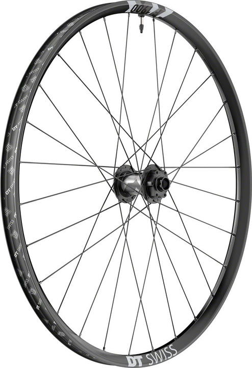 Rueda delantera DT Swiss F 1900 Classic - 29" 20 x 110 mm DH Boost 6 tornillos negra